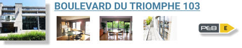 BOULEVARD DU TRIOMPHE 103